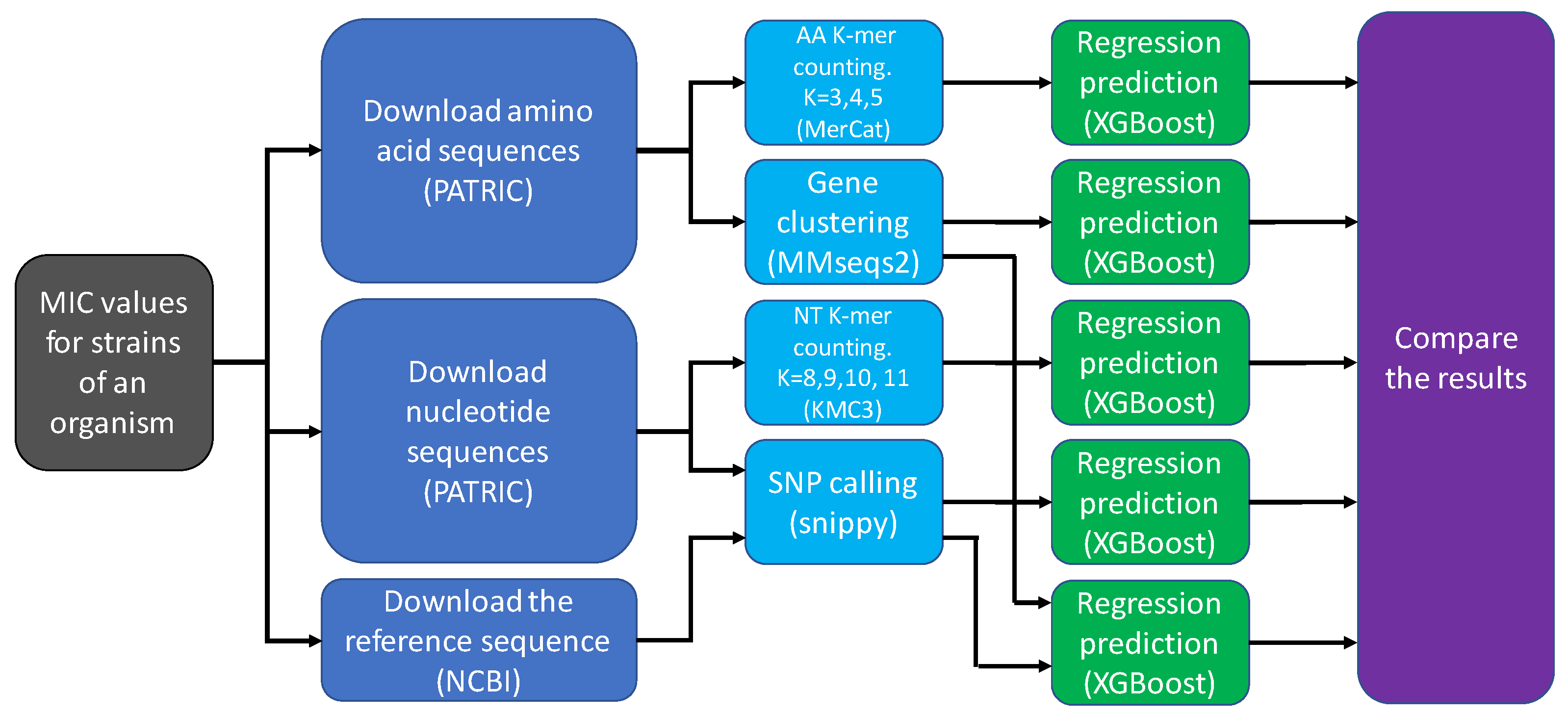 Visualization of implemented methods for analyzing bacterial genomes