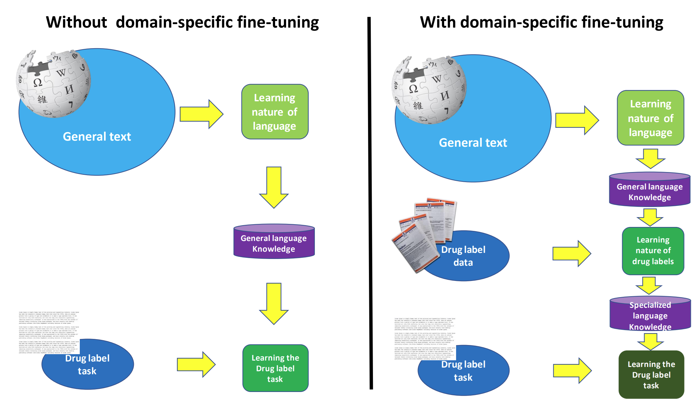 PharmBERT concept art illustrating domain-specific pretraining for drug labels